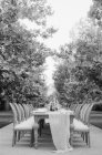 Весільний стіл зі стільцями — стокове фото