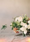 Decorative flowers and plants — Stock Photo
