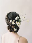 Flores de camomila em updo trançado — Fotografia de Stock
