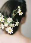 Kamillenblüten in geflochtener Hochsteckfrisur — Stockfoto