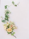 Свіжі зрізані квіти композиція — стокове фото