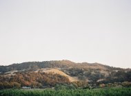 Hügel mit Obstgarten im Vordergrund — Stockfoto