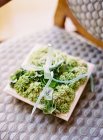 Wedding invitation made with plants — Stock Photo