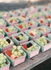 Коробки со свежими ягодами — стоковое фото