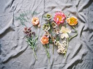 Flores coloridas cortadas frescas - foto de stock