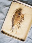 Запечена риба на пергаменті — стокове фото