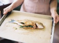 Mani femminili che tengono il pesce crudo — Foto stock