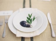 Assiette décorée avec coquille de moule — Photo de stock