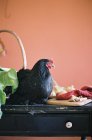 Poule sur table avec légumes de la ferme — Photo de stock
