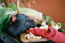 Hen on table with farm vegetables — Stock Photo