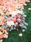 Fresh peaches in crate with petals — Stock Photo