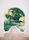 Jardin luxuriant avec des palmiers — Photo de stock