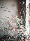 Fresh cut flowers and branches — Stock Photo