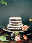 Gâteau de mariage au chocolat — Photo de stock