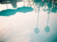 Пальмы и пляжные зонтики — стоковое фото