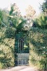 Metal gate in stone wall with ivy vines — Stock Photo