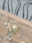 Rama de albaricoque floreciente en jarrón - foto de stock