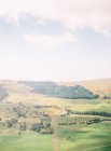Pintorescas colinas con pastos y arboledas - foto de stock