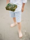 Male hand holding gift in floral wrapper — Stock Photo