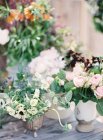 Frische Schnittblumen in Vasen — Stockfoto