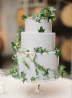 Wedding cake decorated with leaves — Stock Photo
