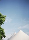 Pavilion tents next to trees — Stock Photo