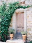 Vecchia porta in legno con viti di edera — Foto stock