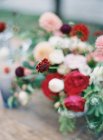Свіжий різаний букет з хризантемами — стокове фото