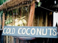 Sign coconut and coconuts hanging on ropes — Stock Photo