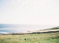 Spiaggia dell'isola con oceano sullo sfondo — Foto stock