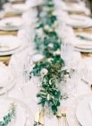 Tisch mit Pflanzen dekorieren — Stockfoto