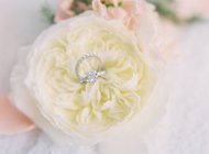 Обручальные кольца на декоративном цветке — стоковое фото