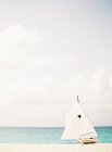 Віндсерферна установка на піщаному пляжі — стокове фото