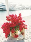 Fiori rosa in vaso — Foto stock