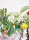 Composizione floreale con frutta fresca — Foto stock