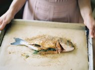 Mãos femininas segurando peixes não cozidos — Fotografia de Stock