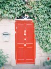 Red vintage door — Stock Photo