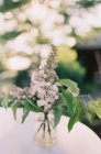 Свежие рустикальные цветы — стоковое фото
