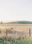 Felder und Hügel am Tag — Stockfoto