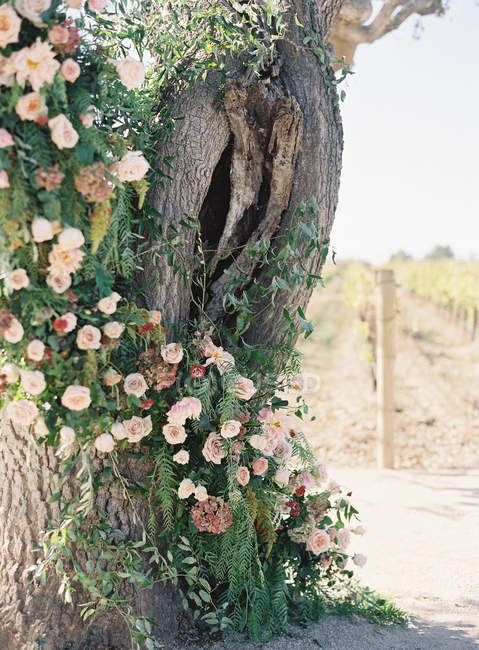 Árbol decorado con flores - foto de stock