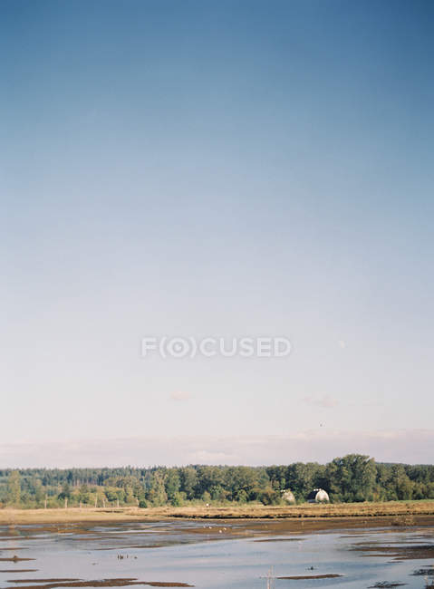 Lake near forest in countryside — Stock Photo