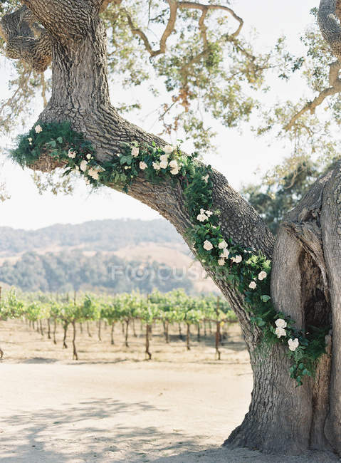Baum mit Blumen geschmückt — Stockfoto