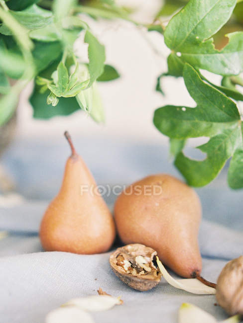 Fresh pears and nuts — Stock Photo