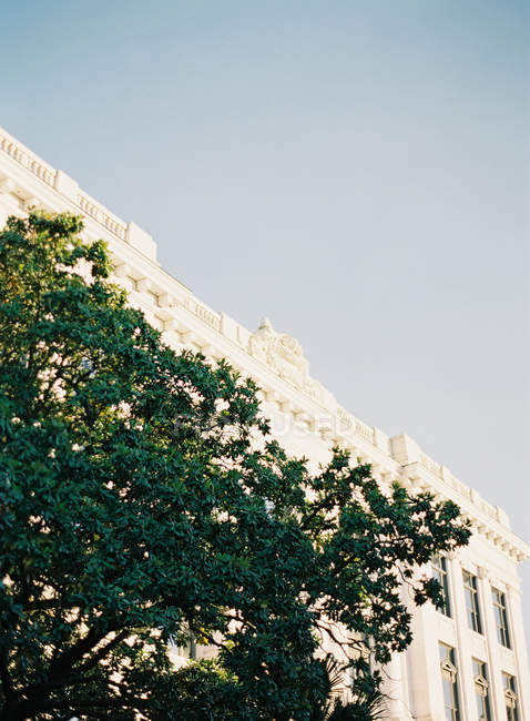 Fachada del edificio con árboles en frente - foto de stock