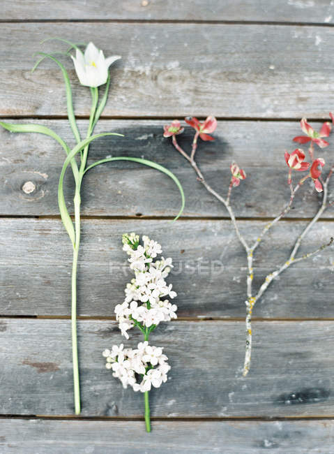 Flores de campo sobre mesa de madera - foto de stock