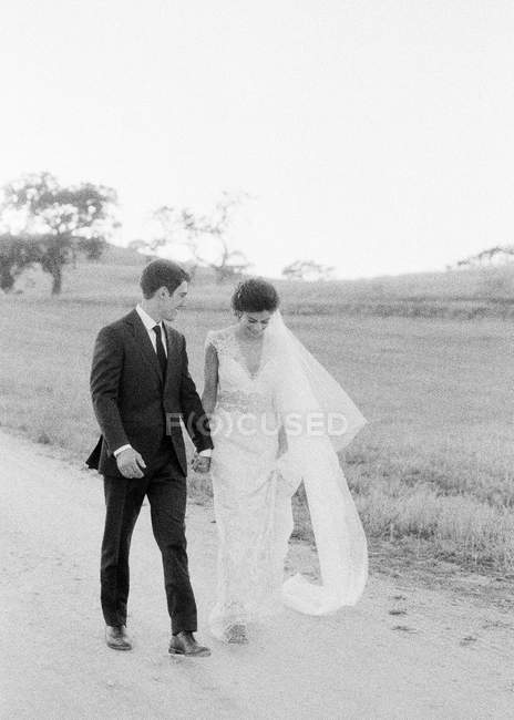 Jeunes mariés marchant dans le champ — Photo de stock