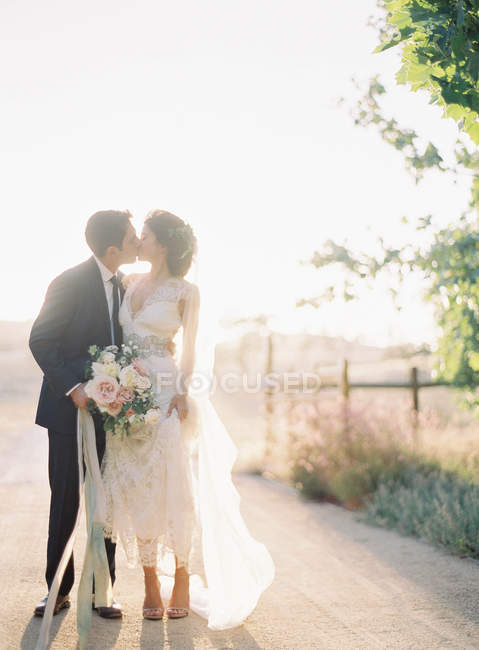 Recém-casados abraçando e beijando ao ar livre — Fotografia de Stock