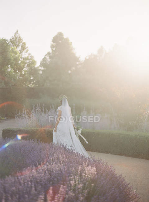 Braut spaziert im Garten — Stockfoto