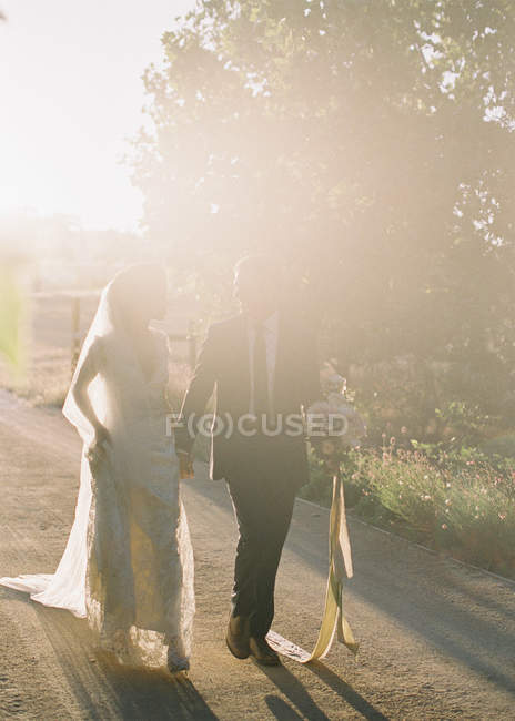 Casal recém-casado de mãos dadas e caminhando — Fotografia de Stock