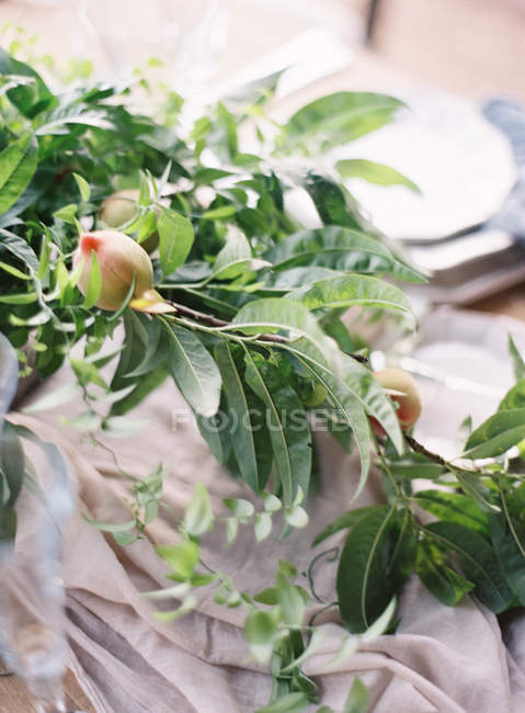 Персикова гілка на столі з посудом — стокове фото